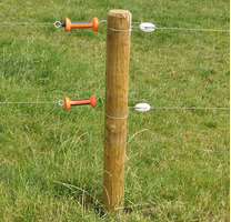 Isolatore di Testa Super Bianco/Nero per Legno Confezione 100 Pz. GALLAGHER per Recinzioni Elettrich - 2