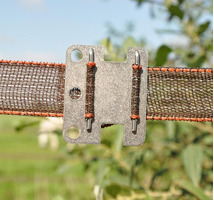 Connettore per Nastro/Fettuccia da 20/40 mm Confezione 5 Pz. in Acciaio Inox GALLAGHER per Recinzion