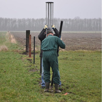 Battipalo per Picchetti Ecopost GALLAGHER - 3