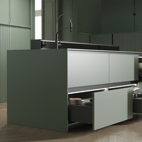 Emuca Cassetto esterno Vertex con regolazione 3D altezza 178mm, 40kg, profondità 450mm, Acciaio, Gri - 2