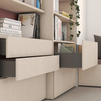 Emuca Cassetto esterno Vertex con regolazione 3D altezza 178mm, 40kg, profondità 450mm, Acciaio, Gri - 4