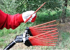 Abbacchiatore V8 Evo - 2