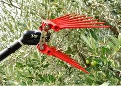 Abbacchiatore V8 Titanium - 3