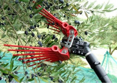 Abbacchiatore V8 Titanium - 4