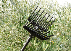 Abbacchiatore MG Magnesium - 2