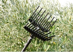Abbacchiatore MG Magnesium - 2