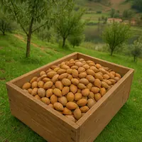 1kg di Mandorle con Guscio – Coltivate in Irpinia, Raccolta 2024 - 2