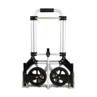 Carrello Pieghevole GZS100 - 2