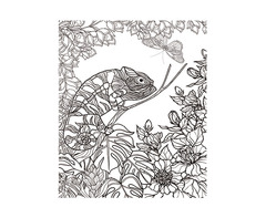 Conf. 3 Pz Tele Prestampate Da Colorare 3,5x40x30cm - 2