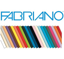 FABRIANO CARTONCINI ELLE ERRE A3 BLISTER 220 GR, COF. 25 PZ LISCIO/RUVIDO