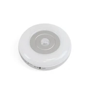 Luminaria LED Ricaricabile Tramite Usb Con Sensore Di Movimento