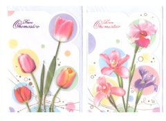 CONF. 12  PEZZI  BIGLIETTI  AUGURI ONOMASTICO MIS 11,5X177