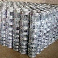 50mt- Rotolo Rete Metallica Pastorale Zincata - Tipo  Standard-a Maglia Annodata- H 120 cm - 2