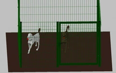 .Recinto-Box Modulare per Cani in Ferro Zincato e Verniciato Verde-con Pali a Interrare - cm 200x200x142h - 2