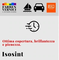 ISOSINT - Smalto Sintoacrilico A Rapida Essiccazione MARTELLATO 5 KG/25KG - 3