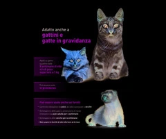 Elanco ANTIPARASSITARIO PURRFIT COMBO SPOT-ON per gatti e furetti (cf. 6 pipette) - 2