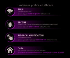 Elanco ANTIPARASSITARIO PURRFIT COMBO SPOT-ON per gatti e furetti (cf. 6 pipette) - 3