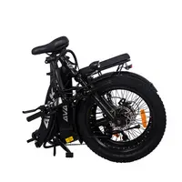 AVAKA EBIKE BZ20PLUS-SPOKE TIRES - 3