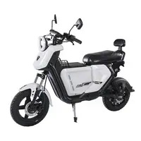 BEZIOR XIAONIU A 1500W Electric Motorcycle Truck Commuting Bike - 5