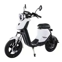 BEZIOR XIAONIU B 1500W Electric Motorcycle Truck Commuting Bike - 3
