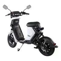 BEZIOR XIAONIU B 1500W Electric Motorcycle Truck Commuting Bike - 5