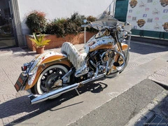 HARLEY-DAVIDSON Softail Deluxe - 3