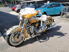 HARLEY-DAVIDSON Softail Deluxe - 5