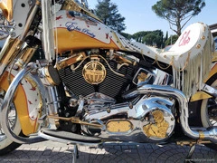 HARLEY-DAVIDSON Softail Deluxe - 11