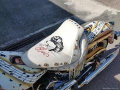 HARLEY-DAVIDSON Softail Deluxe - 23