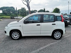 FIAT Panda 1.2 - 31