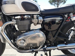 TRIUMPH Bonneville T 120 - 13