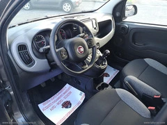 FIAT Panda 1.0 FireFly S&S Hybrid - 16