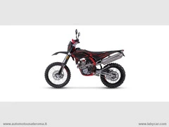 SWM RS 300 R - 2