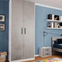 Armadio 247x58x90 due ante cemento