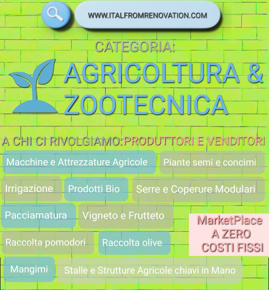 Il tuo Brand Gratis sul Nostro Marketplace innovativo 